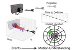 Fast Motion Understanding with Spatiotemporal Neural Networks and Dynamic Vision Sensors