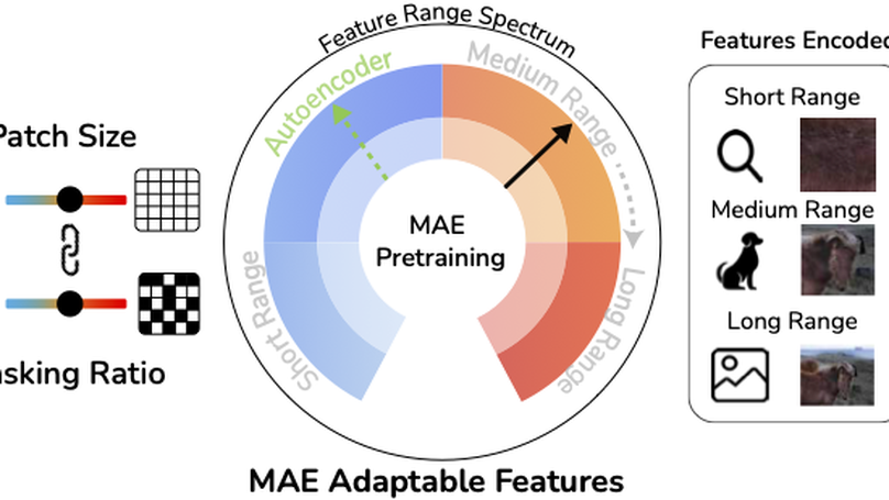 From Linearity to Non-Linearity: How Masked Autoencoders Capture Spatial Correlations