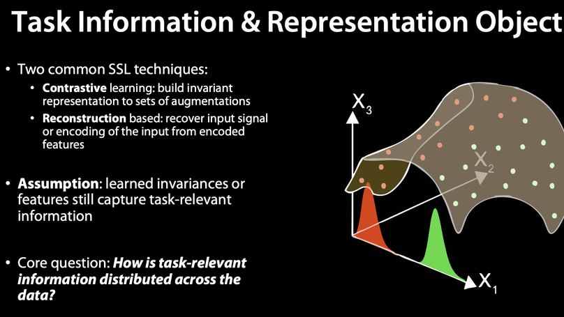 Many Perception Tasks are Highly Redundant Functions of their Input Data